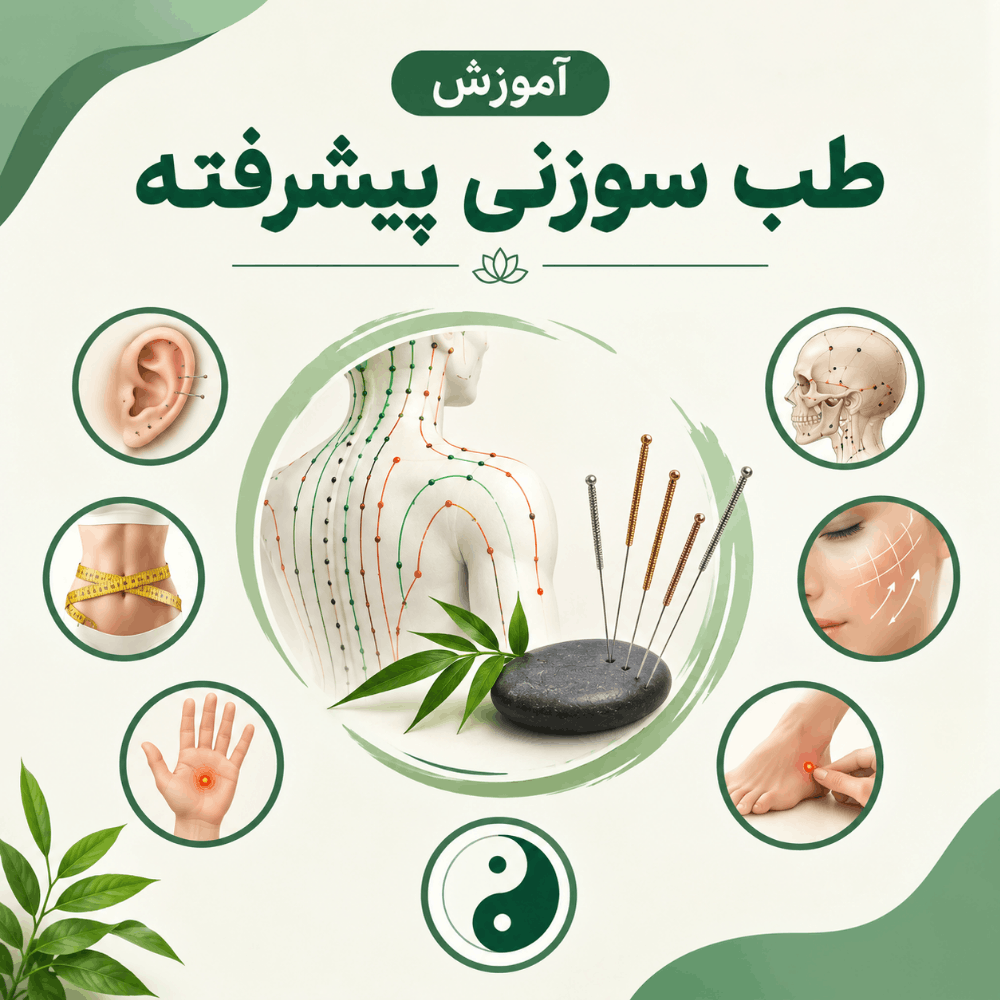 آموزش طب سوزنی پیشرفته | طب سوزنی گوش، جمجمه، زیبایی، لاغری و تکنیک‌های پیشرفته