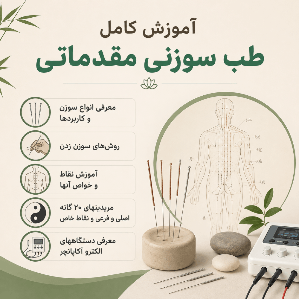 آموزش کامل طب سوزنی مقدماتی | معرفی سوزن‌ها، نقاط بدن و روش‌های سوزن‌زدن
