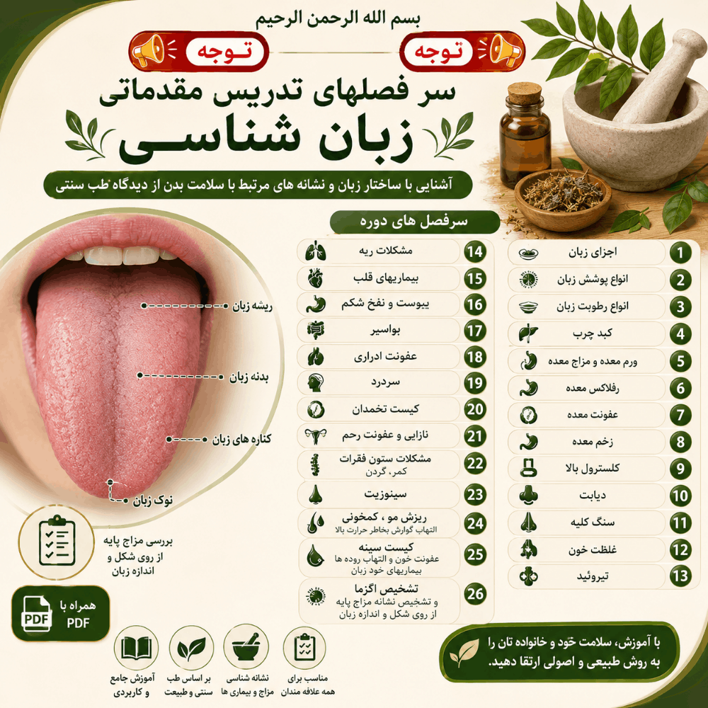 آموزش مقدماتی زبان‌شناسی | آشنایی با ساختار زبان، نشانه‌ها و بررسی مزاج